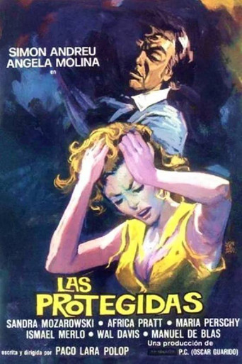 The Protected movie poster
