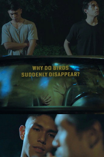 Why Do Birds Suddenly Disappear? movie poster