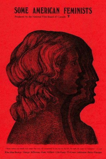 Some American Feminists movie poster