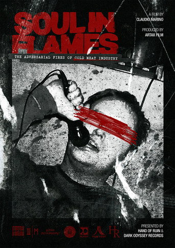 Soul in Flames movie poster
