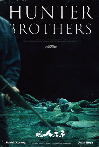 Hunter Brothers movie poster