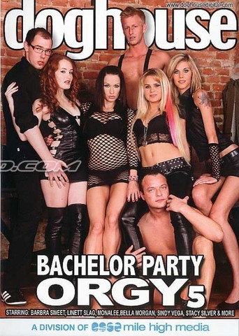 Bachelor Party Orgy 5 movie poster