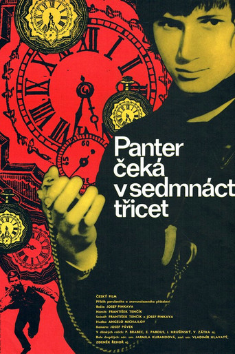 Panter čeká v 17,30 movie poster