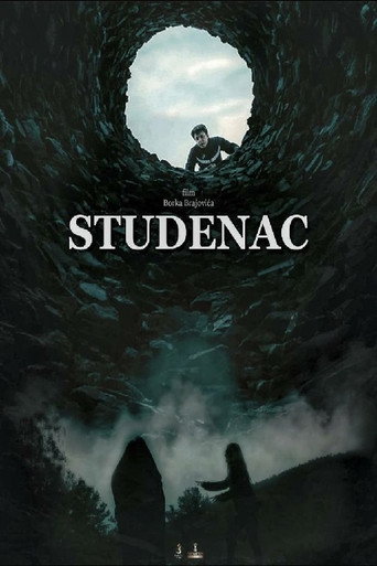 The Well movie poster