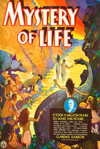Mystery of Life movie poster