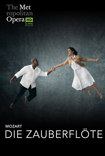 The Metropolitan Opera: The Magic Flute movie poster
