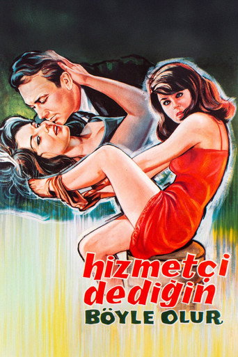 Hizmetçi Dediğin Böyle Olur movie poster