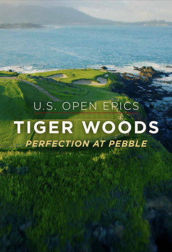 Perfection at Pebble movie poster
