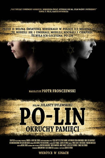 Po-lin. Shards of Memory movie poster
