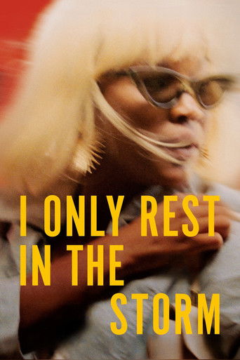 I Only Rest in the Storm movie poster