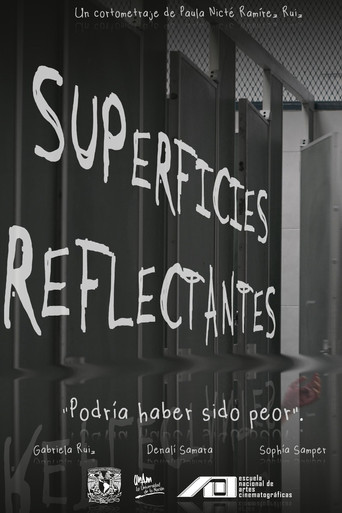 Reflective Surfaces movie poster
