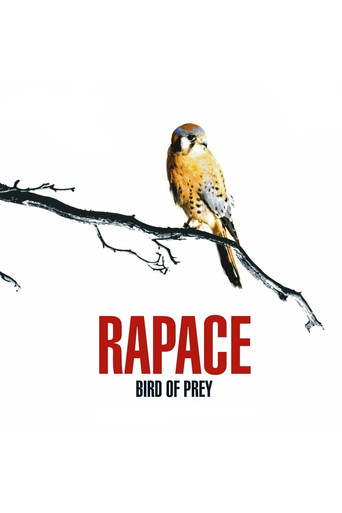 Bird of Prey movie poster