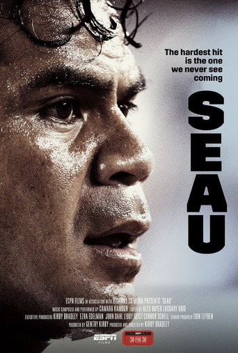 Seau movie poster