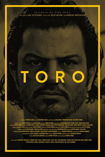 Toro movie poster