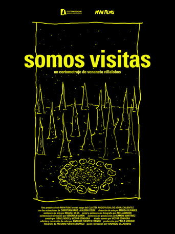 We are visits movie poster