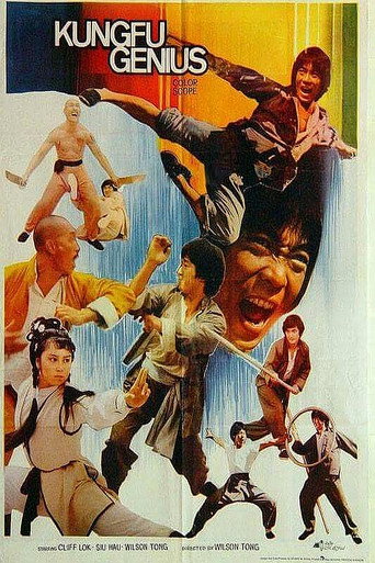 Kung Fu Genius movie poster