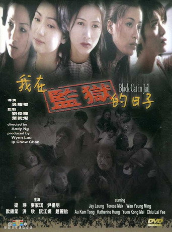 Black Cat in Jail movie poster