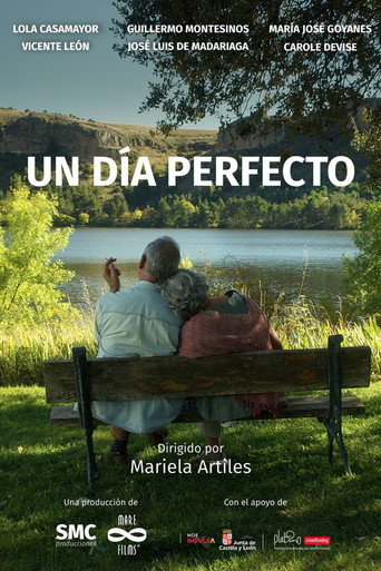 Un día perfecto movie poster