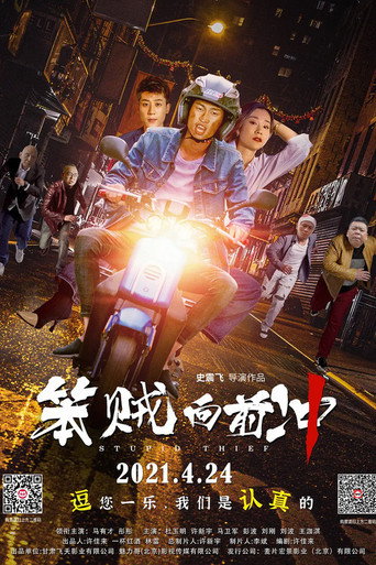 Stupid Thief movie poster