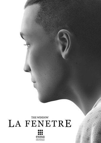 The Window movie poster