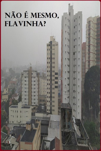 Não é mesmo, Flavinha? movie poster
