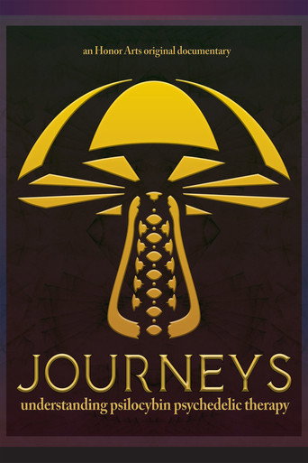 Journeys movie poster