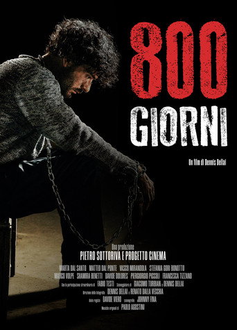 800 giorni movie poster