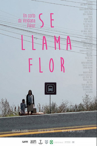 Her Name Is Flor movie poster