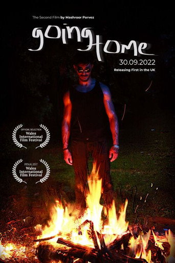 Going Home movie poster