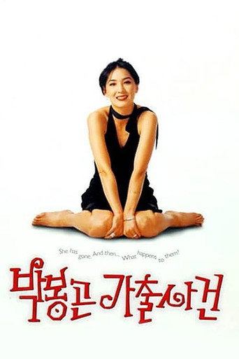 The Adventures of Mrs. Park movie poster