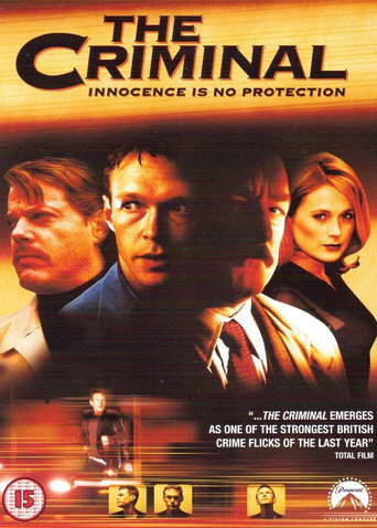 The Criminal movie poster