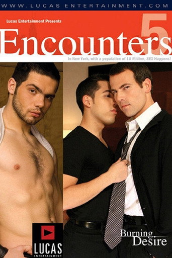 Encounters 5: Burning Desire movie poster