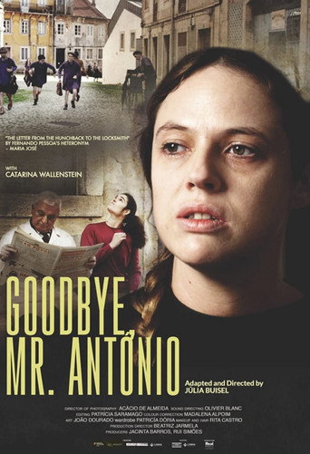 Adeus Senhor António movie poster