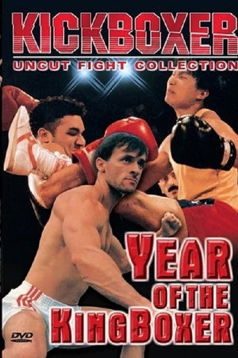 Year of the Kingboxer movie poster