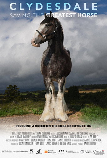 Clydesdale: Saving the Greatest Horse movie poster