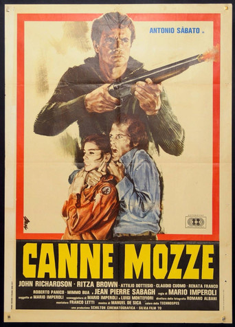 Sawed-Off Shotgun movie poster
