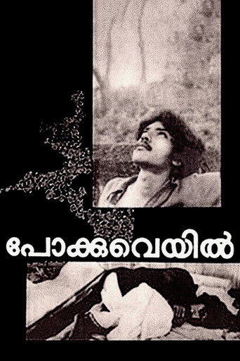 Pokkuveyil movie poster