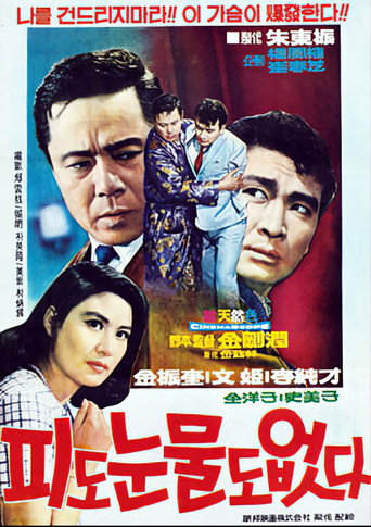Cruel Revenge movie poster