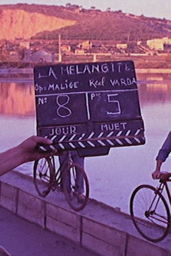 La Mélangite movie poster