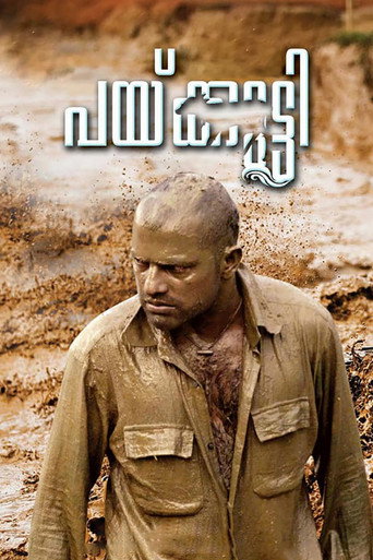 Paikutty movie poster