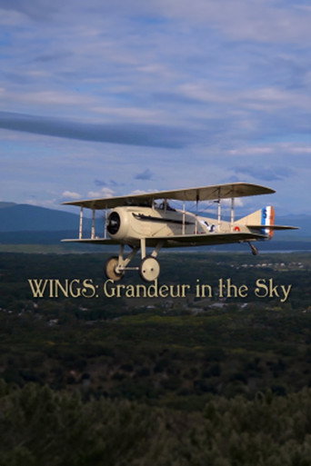 Wings: Grandeur in the Sky movie poster