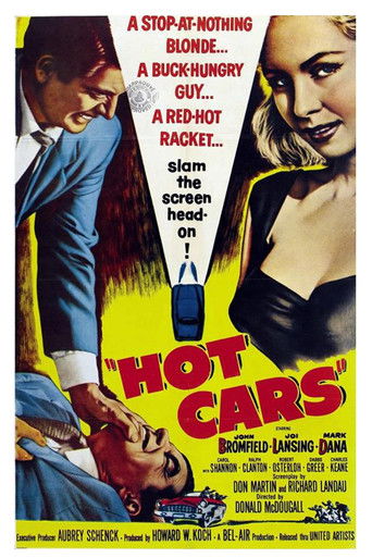 Hot Cars movie poster