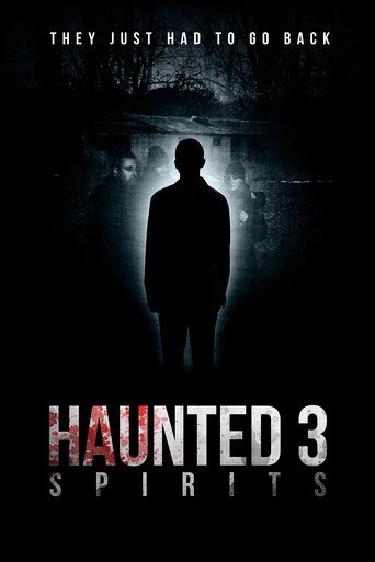 Haunted 3: Spirits movie poster