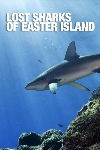 Lost Sharks of Easter Island movie poster