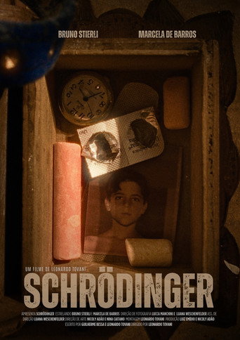 Schrödinger movie poster