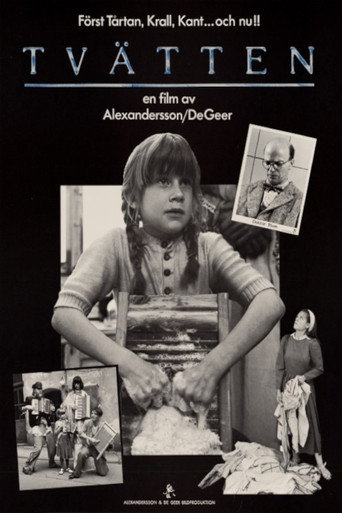 The Laundry movie poster