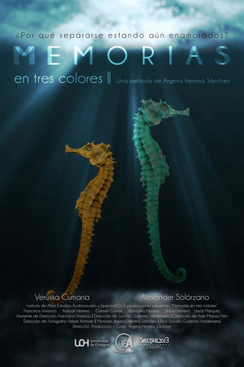 Memorias En Tres Colores movie poster