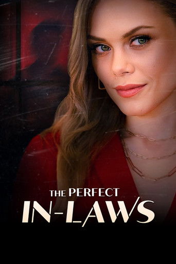 The Perfect In-Laws movie poster