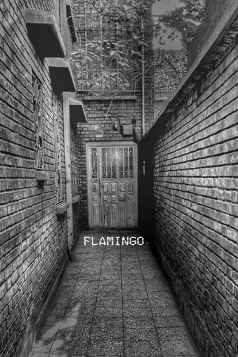 Flamingo movie poster