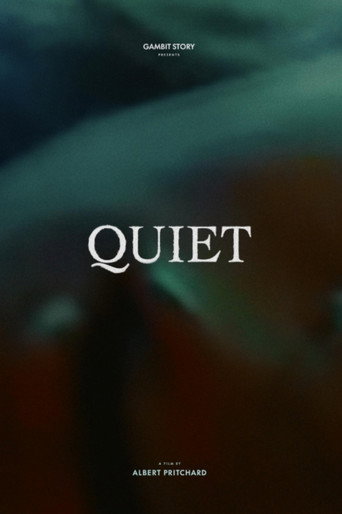 Quiet movie poster